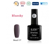 Shellac BLUESKY, № Brazil 37